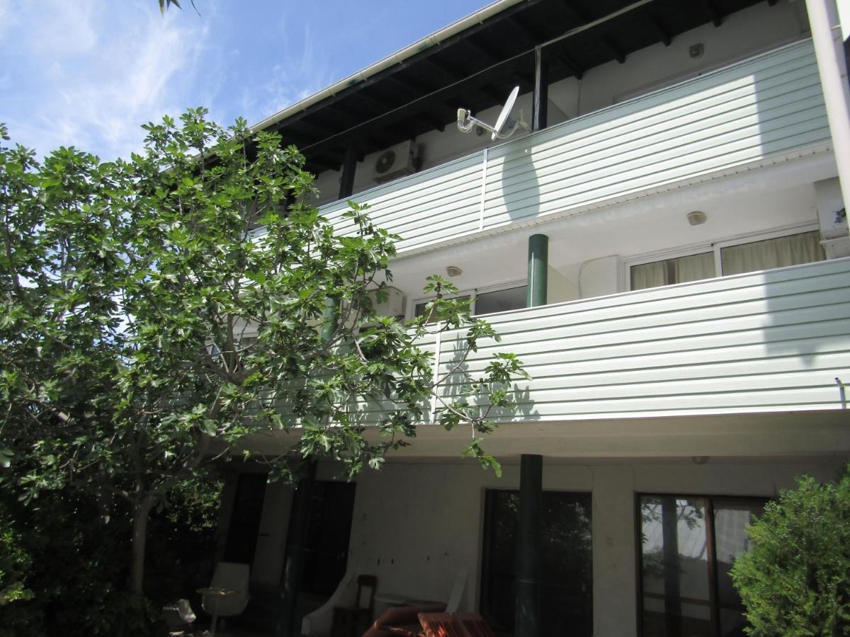 فارنا Hostel Papagal المظهر الخارجي الصورة